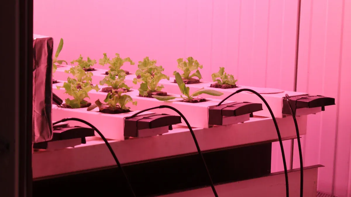 क्या वर्टिकल ग्रो लाइट्स वास्तव में आपके पौधों को बेहतर बढ़ने में मदद कर सकती हैं