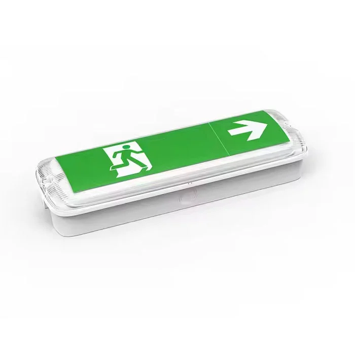 औद्योगिक स्व-निहित एलईडी आपातकालीन बल्कहेड